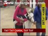 Tay Tay Canım, Tay Tay