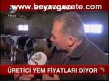 Üretici Yem Fiyatları Diyor
