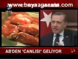 Ab'den Canlı Hayvan Geliyor