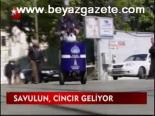 Savulun, Cincır Geliyor