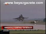 Anadolu Kartalı Tatbikatı