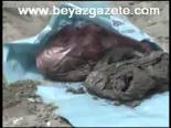 Van Gölü'nde Poşete Koyulmuş Bebek Cesedi