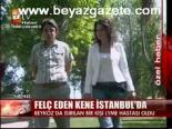 Felç Eden Kene İstanbul'da