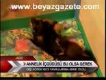 Annelik İçgüdüsü Bu Olsa Gerek