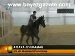 Atlara Fısıldamak