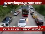 Kalpler Yeşil - Beyaz Atıyor