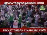 Dikkat Timsah Çıkabilir... Çıktı