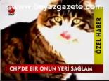 Chp'de Bir Onun Yeri Sağlam
