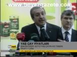 Yaş Çay Fiyatları