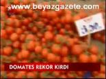 Domates Rekor Kırdı