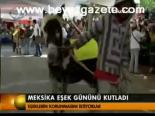 Meksika Eşek Günü Kutladı