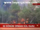 50 Dönüm Orman Kül Oldu