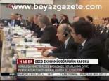 Oecd Ekonomik Görünüm Raporu
