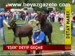 Eşek Deyip Geçme