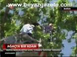 Ağaçta Bir Adam