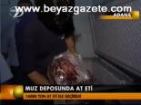 Muz Deposunda At Eti