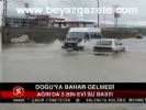 Doğu'ya Bahar Gelmedi
