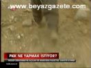 Pkk Ne Yapmak İstiyor?
