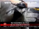 Bu Kadarına Pes