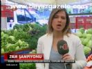 Zam Şampiyonu