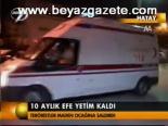 10 Aylık Efe Yetim Kaldı
