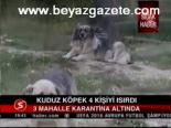 Kuduz Köpek 4 Kişiyi Isırdı