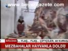 Mezbahalar Hayvanla Doldu