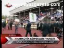 Narkotik Köpekleri Yarıştı