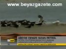 Abd'de Denize Sızan Petrol