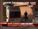 Kupa Sevinci Kana Bulandı