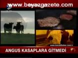 Angus Kasaplara Gelmedi