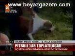 Pitbull'lar Toplatılacak