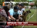Köpeklere İtaat Testi