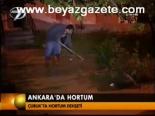 Ankara'da Hortum