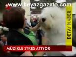 Müzikle Stres Atıyor