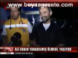 Ali Ekber Yaradılmış Ölmedi, Yaşıyor