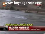Yaşamın Kıyısında
