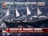 Akdeniz'de Orkinos Savaşı