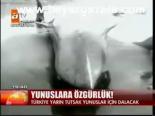 Yunuslara Özğürlük!