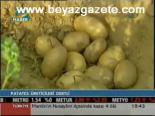 Patates Üreticileri Dertli
