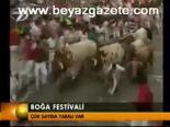 Boğa Festivali