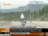 Eskort Polisin Numaraları