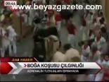 Boğa Koşusu Çılgınlığı
