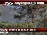 Bodrum'da Orhan_yakını