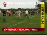 Sivrisinek Yakalama Yarışı