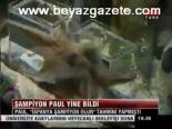 Şampiyon Paul Yine Bildi