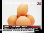 Yumurta Tavuktan Çıkmış!