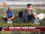Kova Kova Yağma Mazot