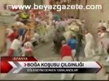 Boğa Koşusu Çılgınlığı
