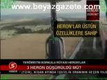 Teröristin Korkulu Rüyası Heronlar